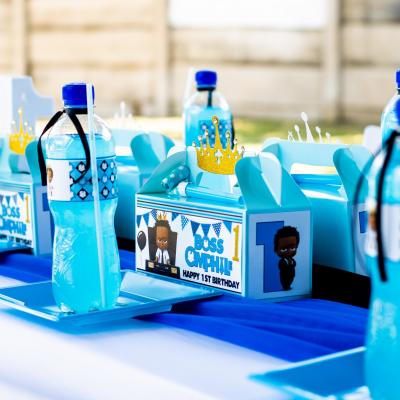 Matassia Peters Kids Party Planner Boss Baby 007