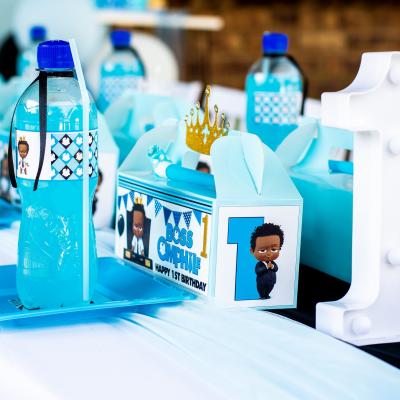 Matassia Peters Kids Party Planner Boss Baby 058
