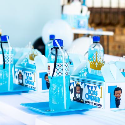 Matassia Peters Kids Party Planner Boss Baby 002