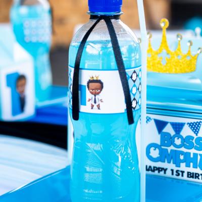Matassia Peters Kids Party Planner Boss Baby 003