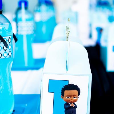 Matassia Peters Kids Party Planner Boss Baby 034