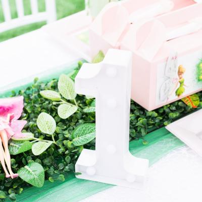 Matassia Peters Fairy Party 03