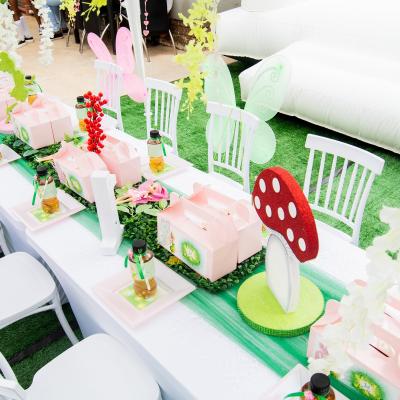 Matassia Peters Fairy Party 07