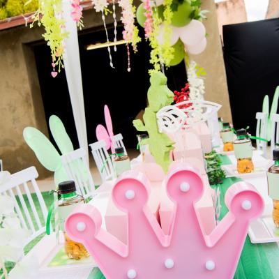 Matassia Peters Fairy Party 09