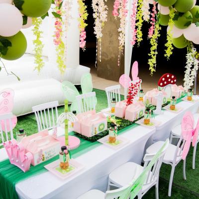 Matassia Peters Fairy Party 10