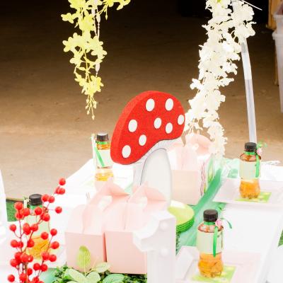 Matassia Peters Fairy Party 16