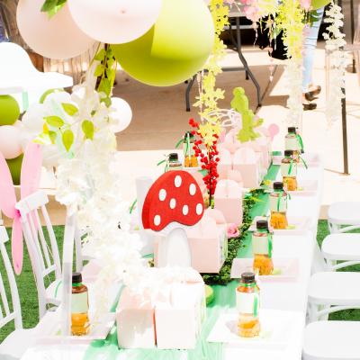 Matassia Peters Fairy Party 20