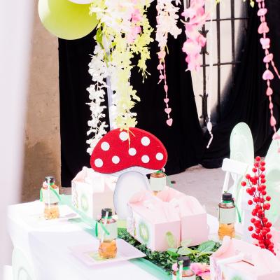 Matassia Peters Fairy Party 26
