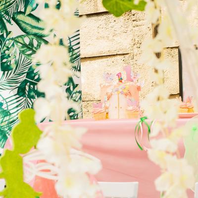 Matassia Peters Fairy Party 27