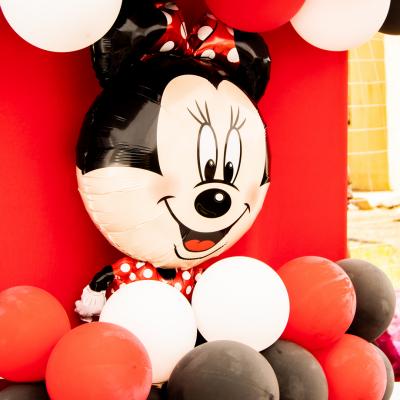 Matassia Peters Minnie Mouse 001