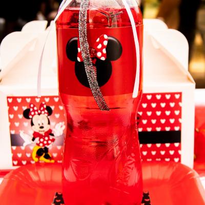 Matassia Peters Minnie Mouse 002