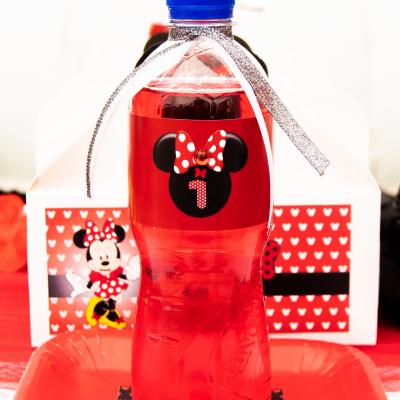 Matassia Peters Minnie Mouse 004