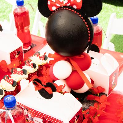 Matassia Peters Minnie Mouse 005