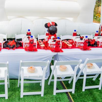 Matassia Peters Minnie Mouse 011
