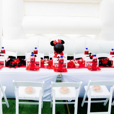 Matassia Peters Minnie Mouse 012