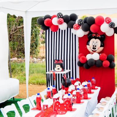Matassia Peters Minnie Mouse 015