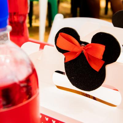 Minnie Mouse Themed Kids Birthday Party